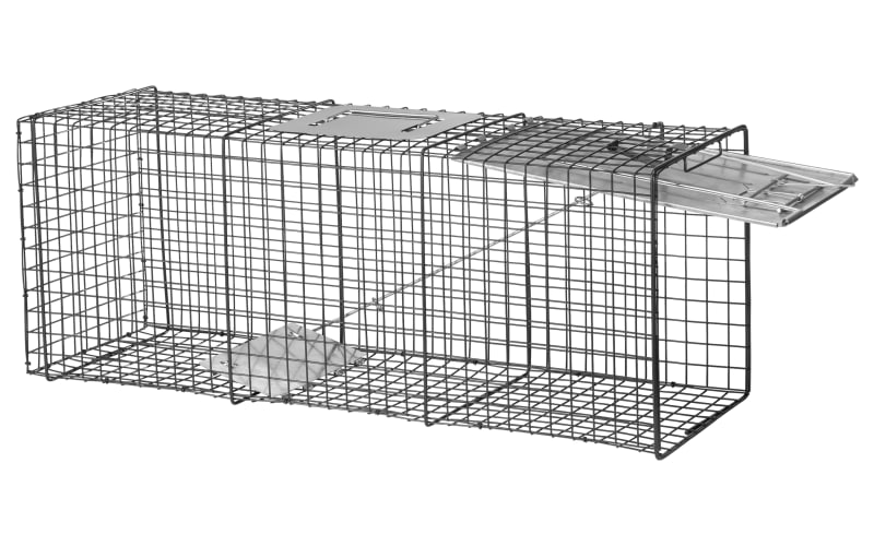 Live trap at tractor supply outlet