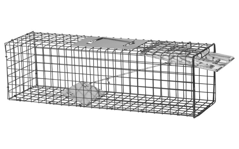 ZENY 32 L Humane Live Animal Trap Cage for Raccoons, Cats