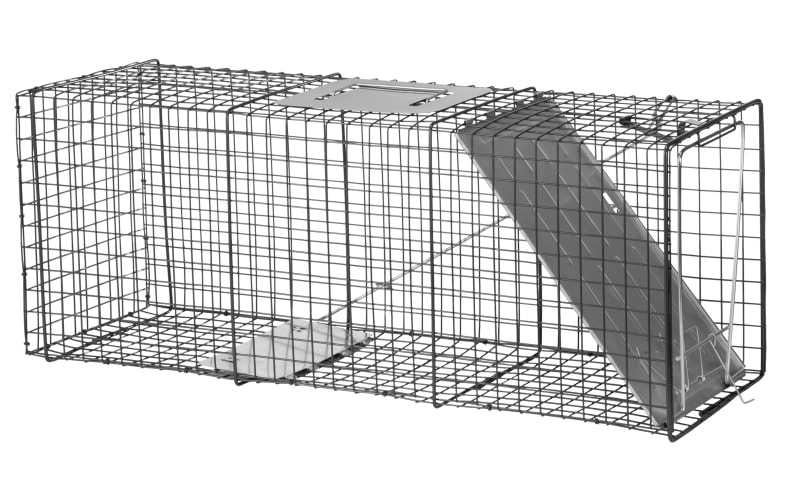 Small or large live animal trap cage?