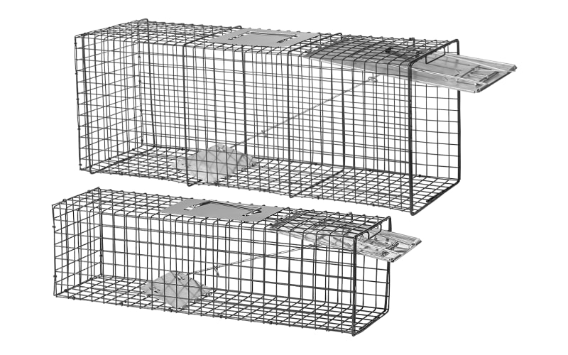 Pursuit Live Animal Traps 2-Pack | Bass Pro Shops