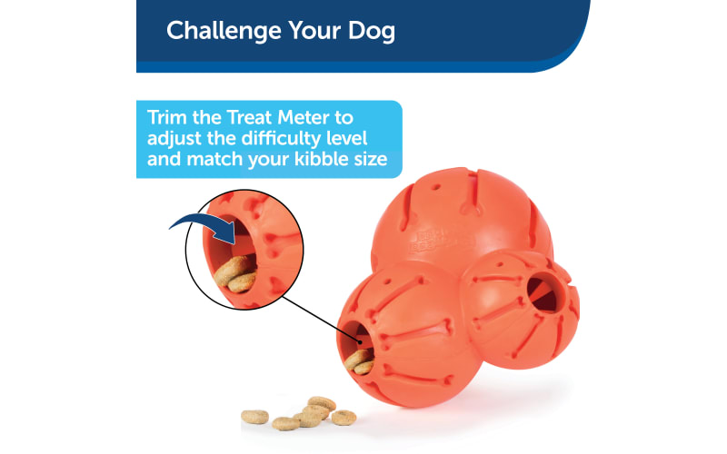 Petsafe busy buddy sales barnacle
