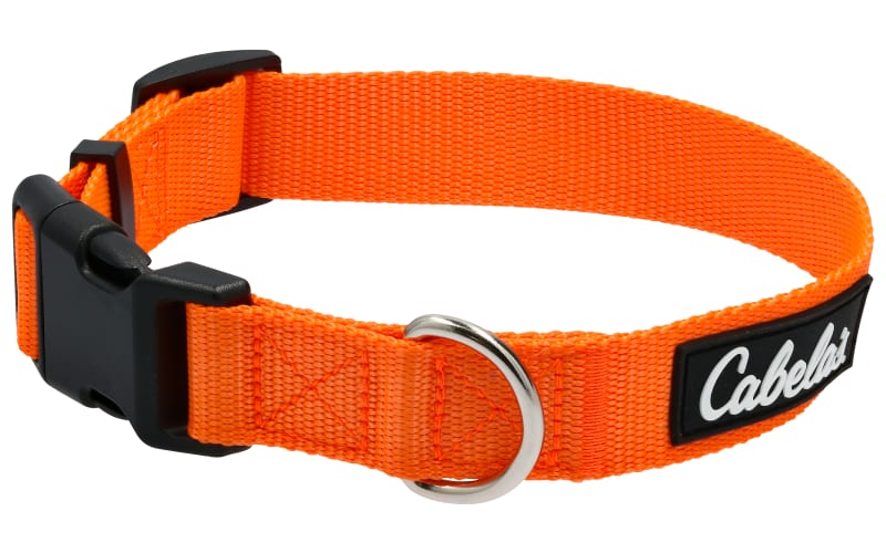 Bass pro dog collar outlet