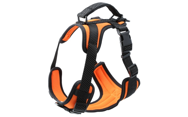 Multi Reflective Bra Harness, Accessories