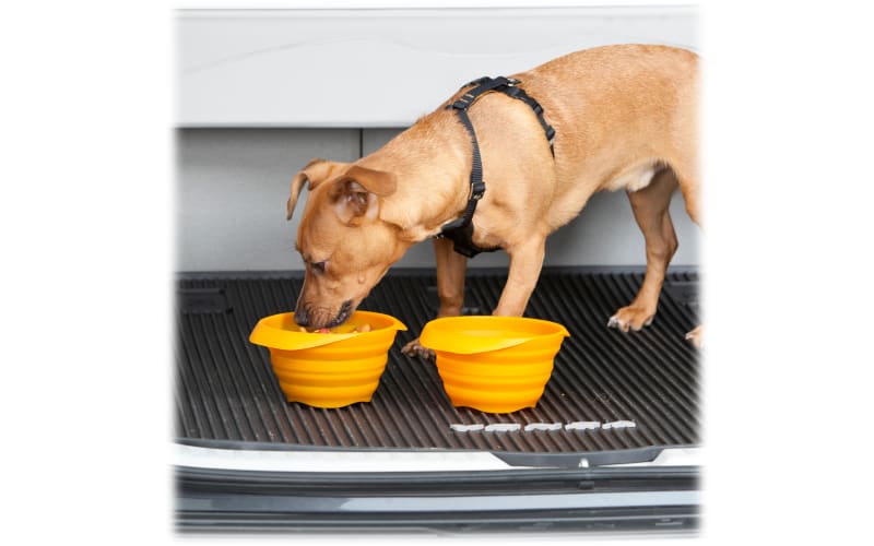 DogBuddy Dog Bowls Dog Bowl for Food & Water Dog Food Bowls for Medium & Large  Dogs Stainless Steel Dog Bowls Dog Feeder with Do