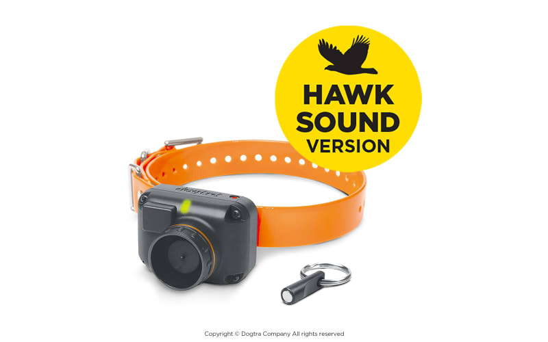 Collar beeper hot sale