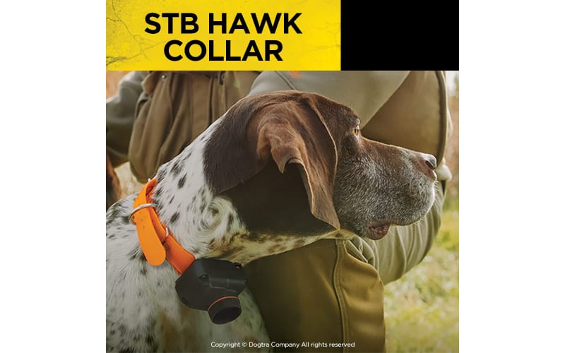 Dogtra beeper hot sale stb hawk