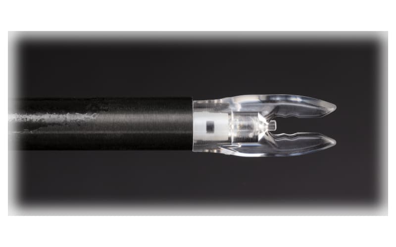 Nockturnal Shift FIT Lighted Nocks | Bass Pro Shops