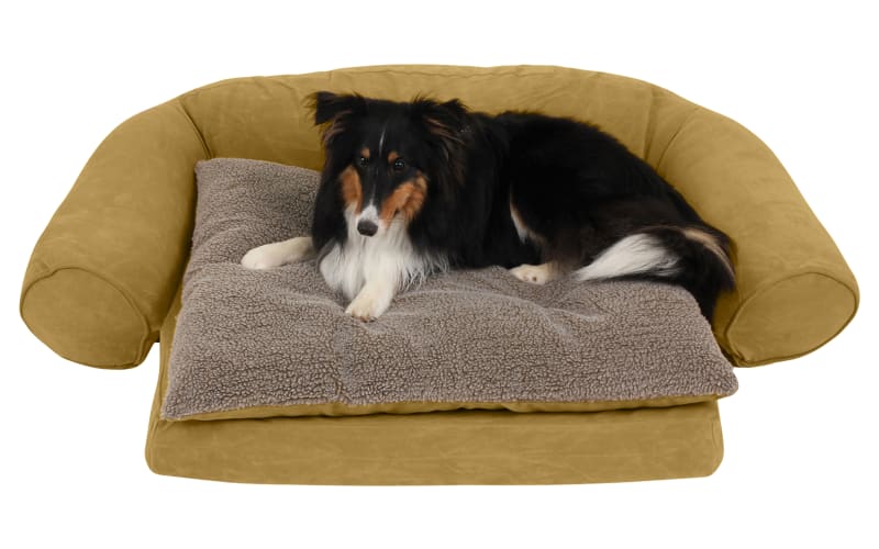 bass pro dog beds