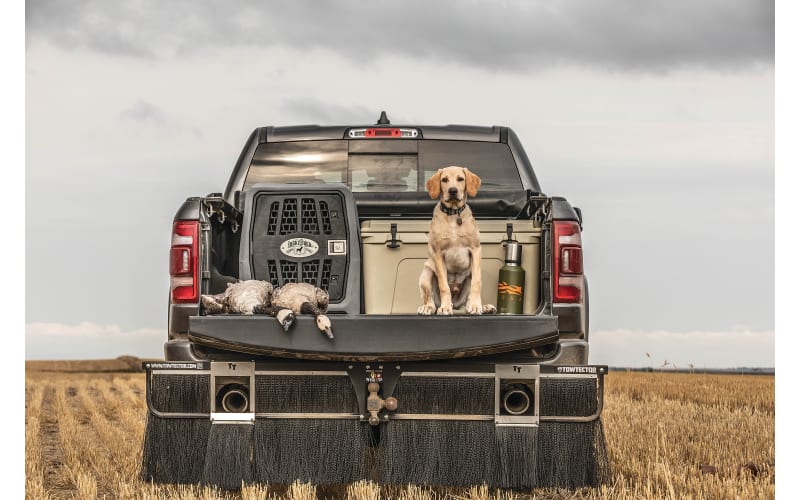 Lucky duck kennels on sale