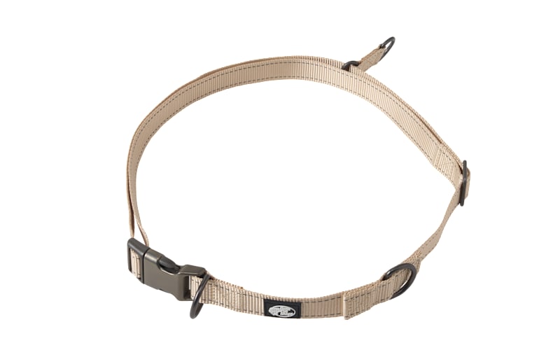 Bass Pro Shops Family Dog 5' Waist Belt Leash | Bass Pro Shops