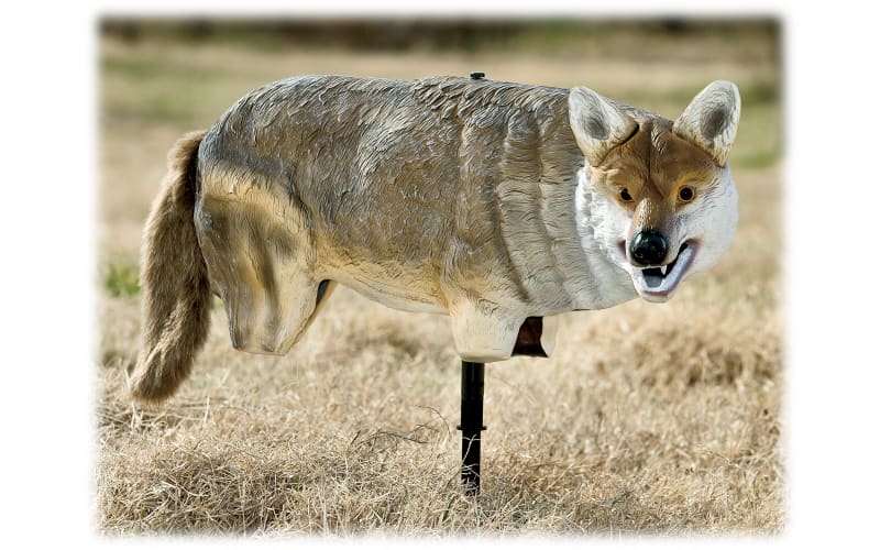 Lucky Duck Yote' Coyote Decoy | Cabela's