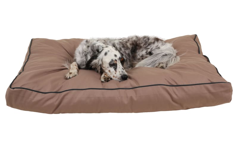 Carolina Pet Company Jamison Indoor Outdoor Dog Bed Cabela s