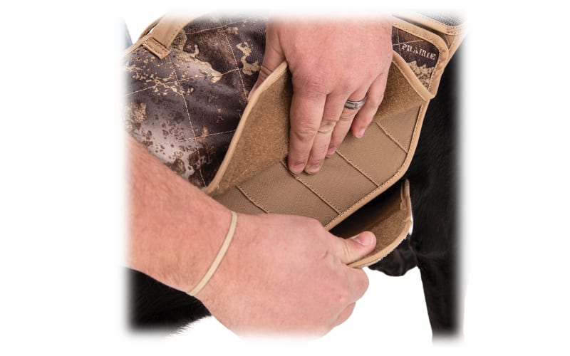 Cabelas neoprene dog vest online