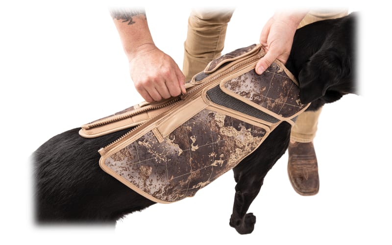 Cabelas neoprene dog vest discount