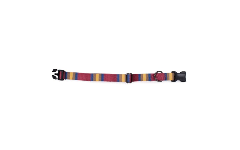 Pendleton 2025 dog collar