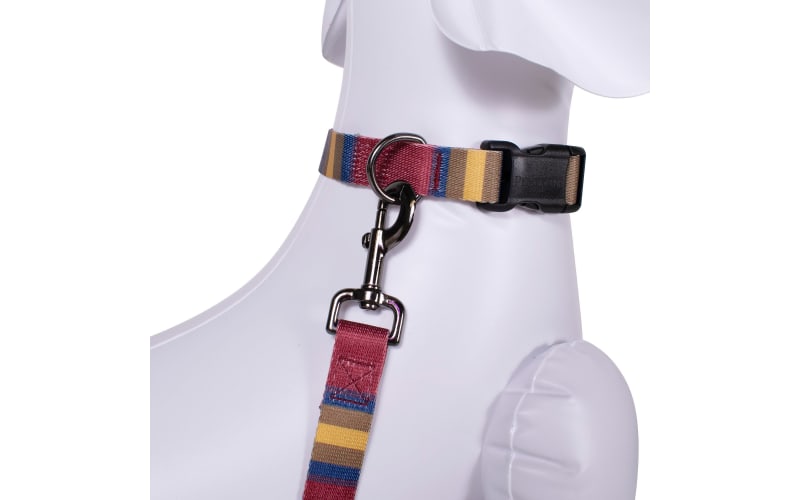 Pendleton leather best sale dog collar
