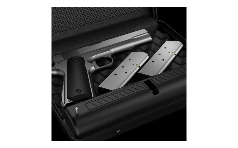 Vaultek Barikade Series 2 BKD2D Keypad Gun Safe | Cabela's