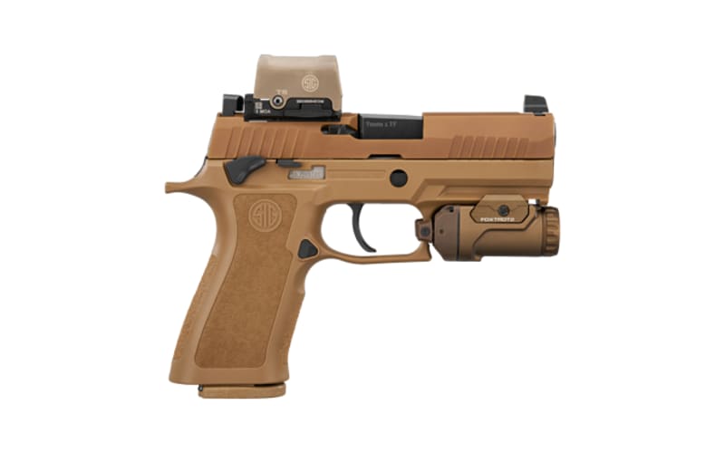 coyote_101787162_main?pgw=1