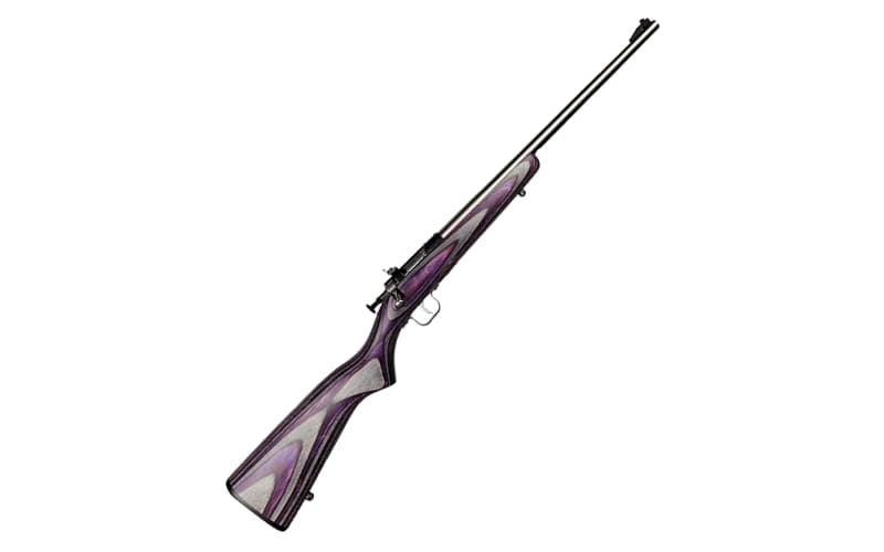 Keystone Sporting Arms Crickett Single-Shot Rimfire Rifle with