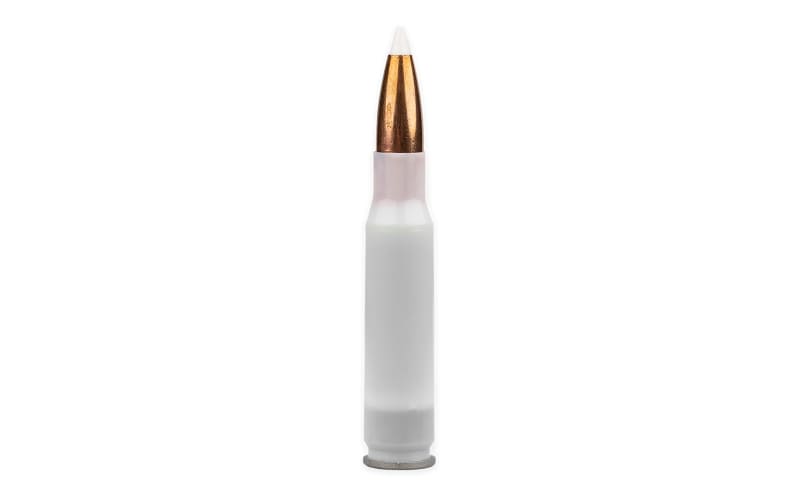 Bullet Shell And Powder Stock Photo - Download Image Now
