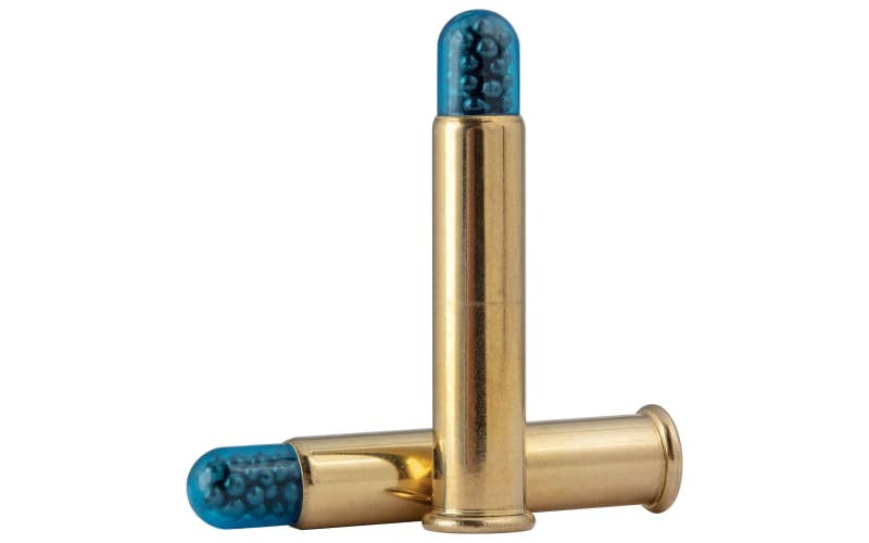 CCI Shotshell .22 WMR 52 Grain Rimfire Ammo | Cabela's