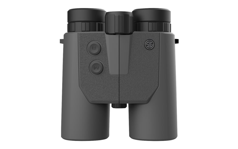 Dehlzer binoculars cheap 10x42 review