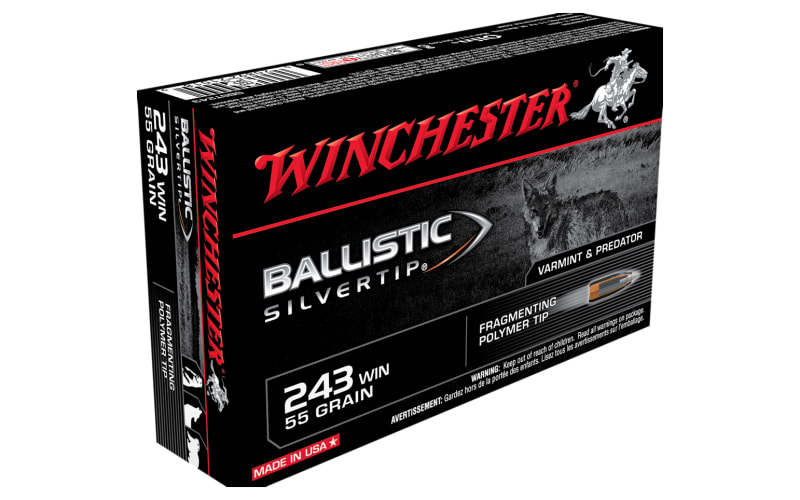 Winchester Ballistic Silvertip .243 Winchester 55 Grain Centerfire