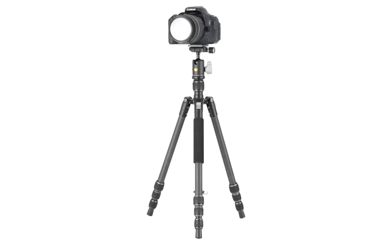 Vanguard Vesta GO 204CB Tripod with VEO BH-45 Ball Head