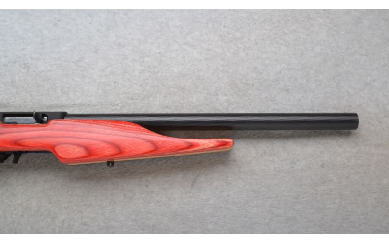 Ruger ~ 10/22 ~ .22 LR ~ U.S.A. Shooting Team | Cabela's