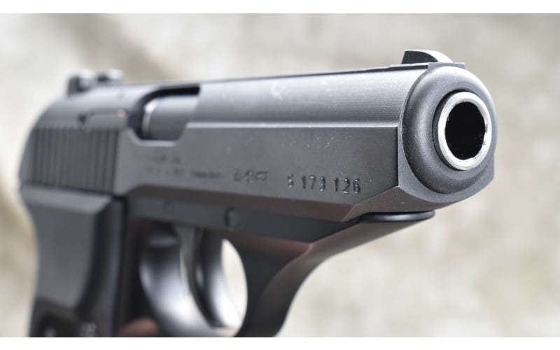 Sig Sauer ~ Model P230 ~ .380 Auto | Bass Pro Shops