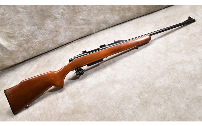 usedgun_101747297_main?pgw=1