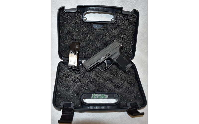Sig Sauer ~ P365 ~ 9mm Luger