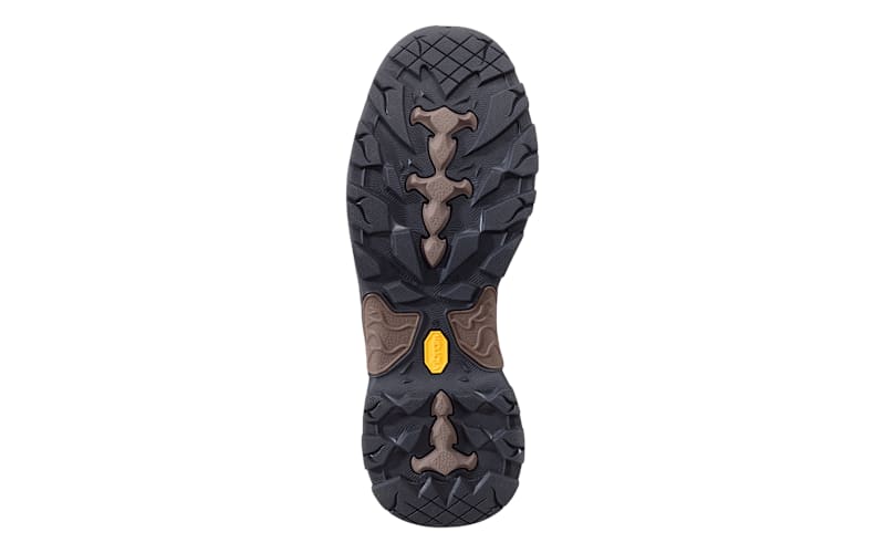 Danner® Men's Pronghorn 800 Insulated GORE-TEX® Hunting Boots