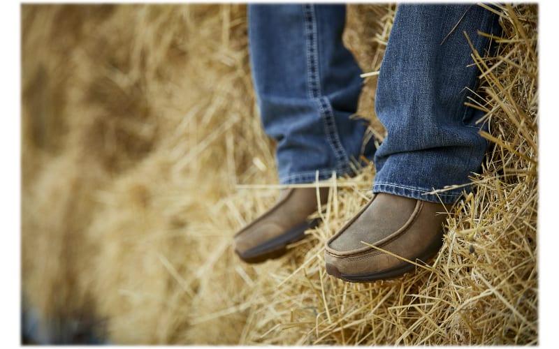Ariats shoes outlet