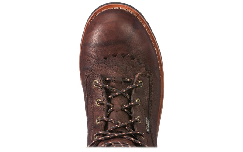 Cabelas irish setter 2025