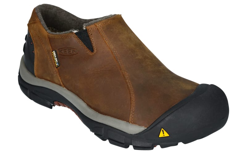 BERENページ Nepenthes attenboroughii BE3693 – Bergen Water Gardens, Lotus Paradise