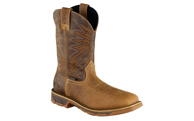 Irish Setter Marshall 11\