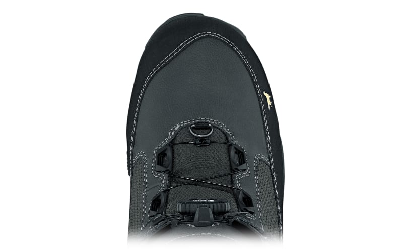 Irish setter deals ice trek