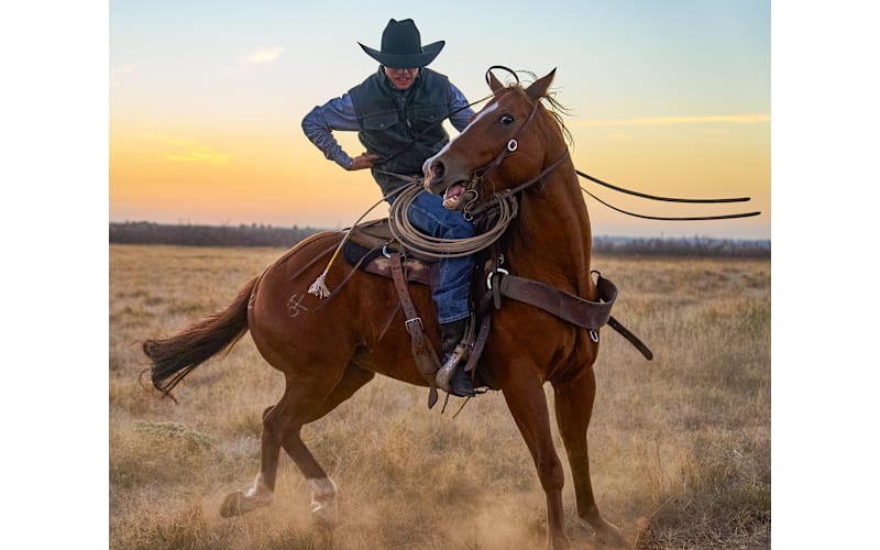 RedHead Ranch Rifle Falls Wrinkle-Free Button-Down Long-Sleeve