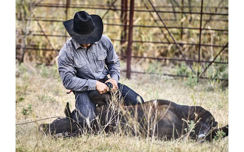 RedHead Ranch Canyonville Performance Long-Sleeve Shirt for Men