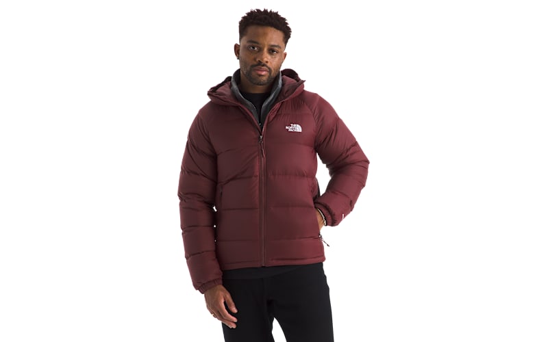 THE NORTH FACE ダウンXL The North Face Hydrenalite Down Full-Zip Hoodie | Bass Pro Shops