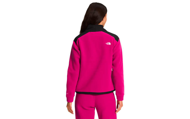 The North Face Alpine Polartec 200 Quarter Zip Long Sleeve Pullover for Ladies