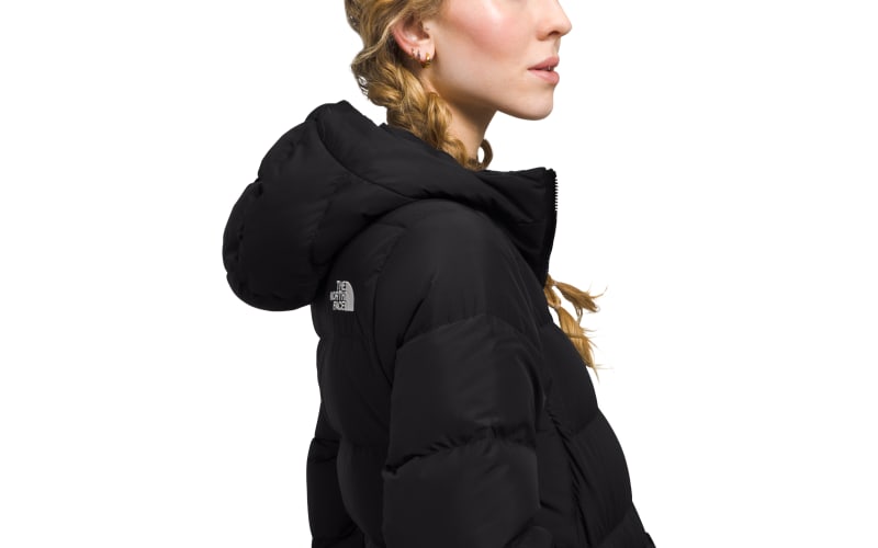 North face women's jacket cabela's sales
