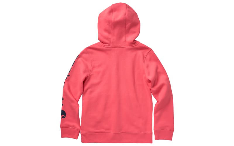 Carhartt hoodie bass pro clearance