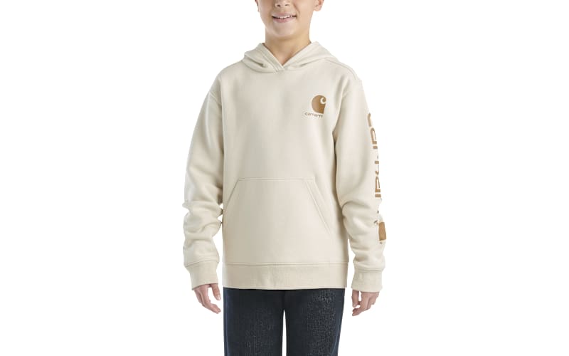 Carhartt Graphic Hoodie for Boys | Bass Pro Shops