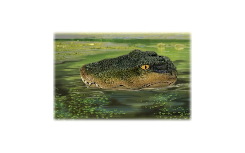 Bass Pro Shops® Remote Control Trick Gator™ Alligator Boat Bass