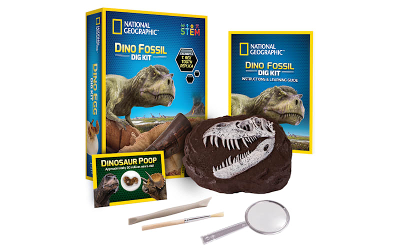 National Geographic® Dino Dig Kit | Bass Pro Shops Canada