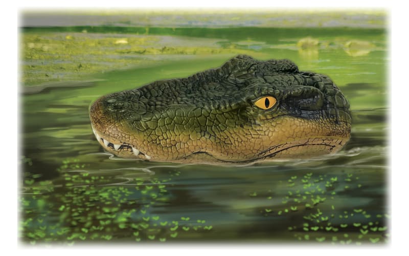 Bass Pro Shops Remote Control Trick Gator Alligator Boat Bass