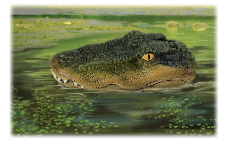 Floating Alligator Head Decoy, deter Animals Solution Float Gator for Pool Pond Garden Defender Decoration, Size: One size, Green