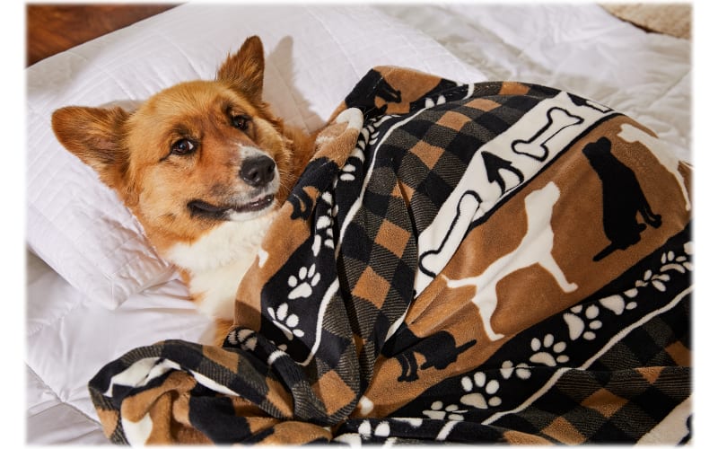 Dog throw blanket store